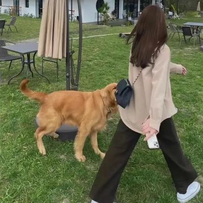 最后逃亡 海报